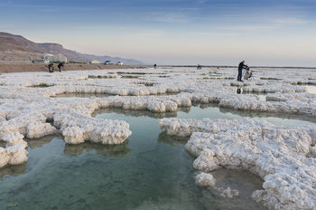 Dead Sea Salt Shooters