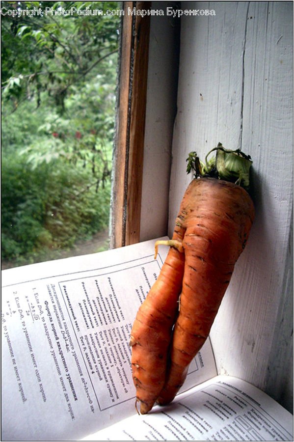 Carrot, Root, Vegetable, Plant, Produce, Turnip, Rutabaga
