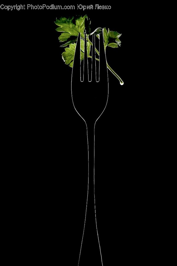Plant, Fork, Cutlery, Blossom, Flower