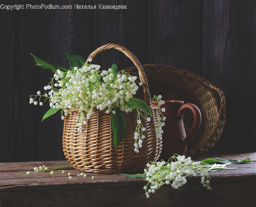 Basket, Plant, Shopping Basket, Flower, Blossom
