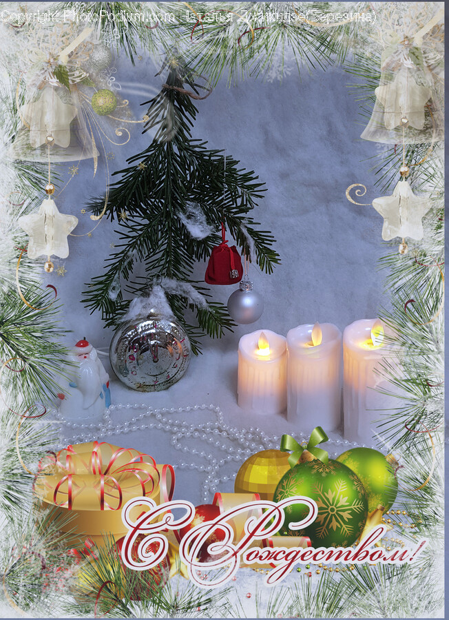 Tree, Plant, Christmas Tree, Ornament, Candle