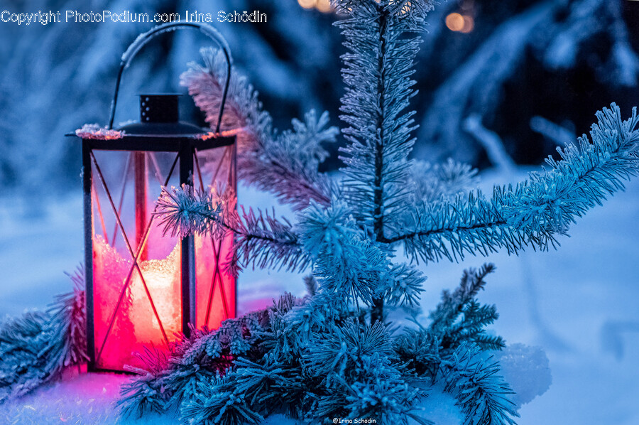 Lamp, Lighting, Christmas Decorations, Festival, Christmas