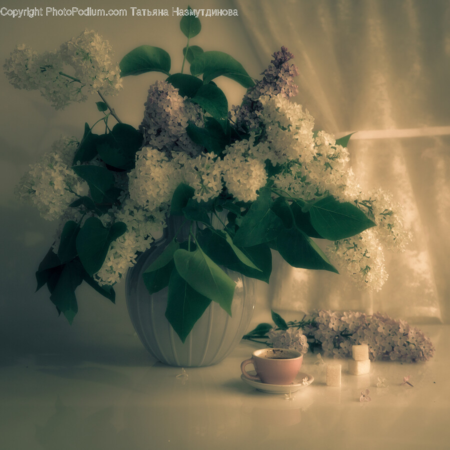 Flower Arrangement, Flower, Plant, Flower Bouquet, Ikebana