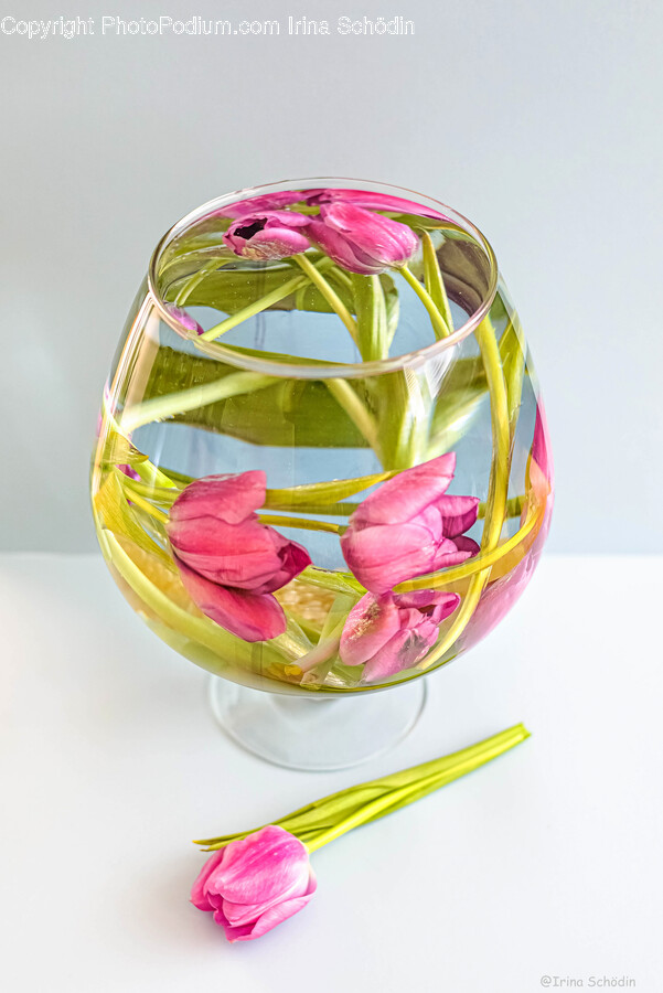 Glass, Flower, Flower Arrangement, Plant, Petal