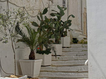 Flowers on the stairs. White cozy cities of Apulia.