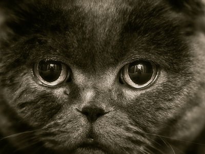 Живая природа
