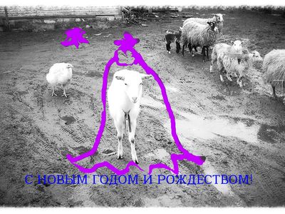 Открытки Новогодние