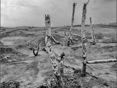 Ecology/Экология