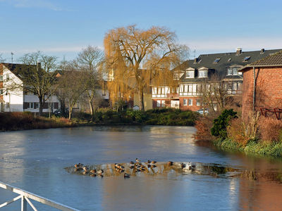 Buschhoven