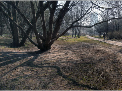 Серебряный Бор. Весна 