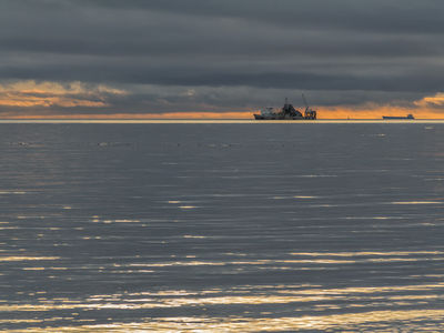 Gulf of Finland