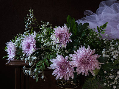 Still Life
