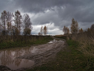 Пейзажи
