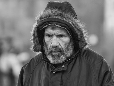 Жанровый портрет