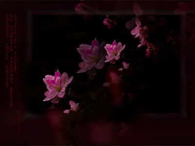 Photoart