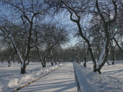 ЗИМА