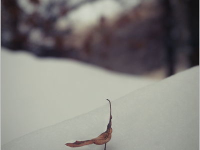 Природа