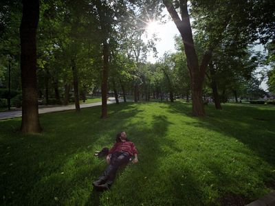 Цвет