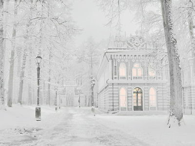 Зима в Царицыно