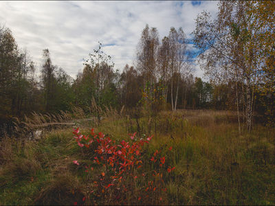 Кеза