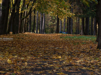 Осенний парк.