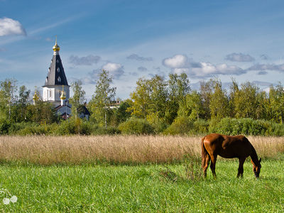 Разное