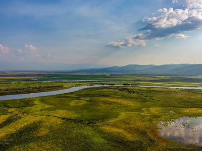 природа