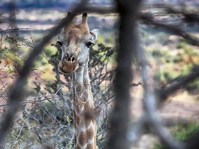SOUTH AFRICA
