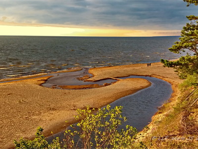 Ландшафт