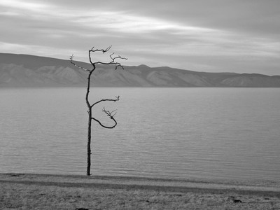 The Conceptual