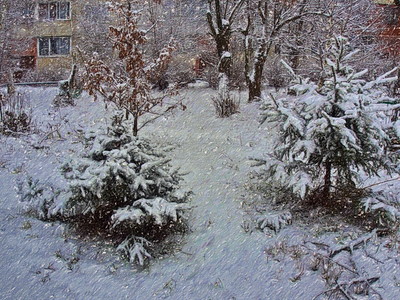 ЗИМА