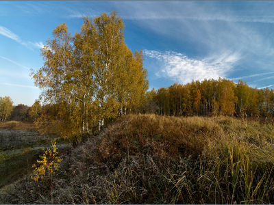 Под Тарусой