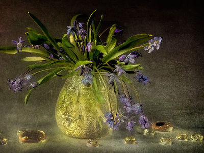 Still Life