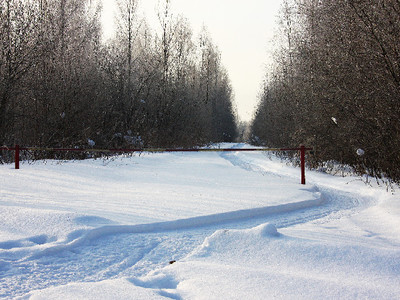 Зимние фото