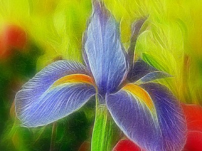 Flowers.Цветы.