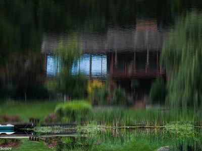Reflections