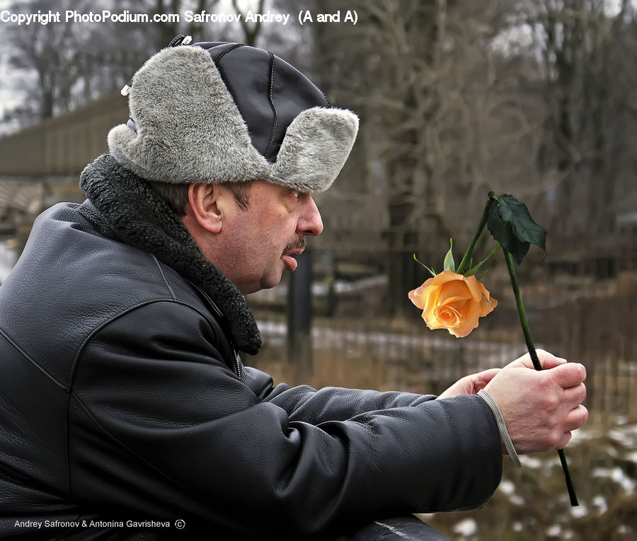 People, Person, Human, Blossom, Flower, Plant, Rose