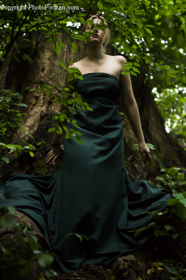 People, Person, Human, Robe, Ivy, Plant, Vine