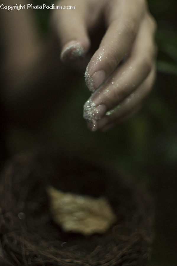 Animal, Hamster, Mammal, Rodent, Finger, Hand, Bean