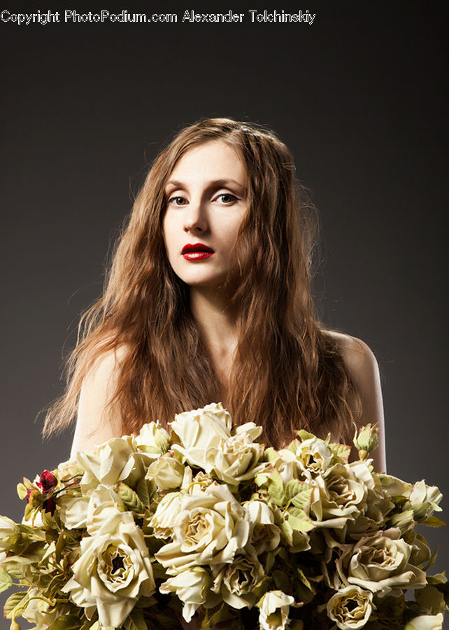 Human, People, Person, Blossom, Flower, Plant, Rose
