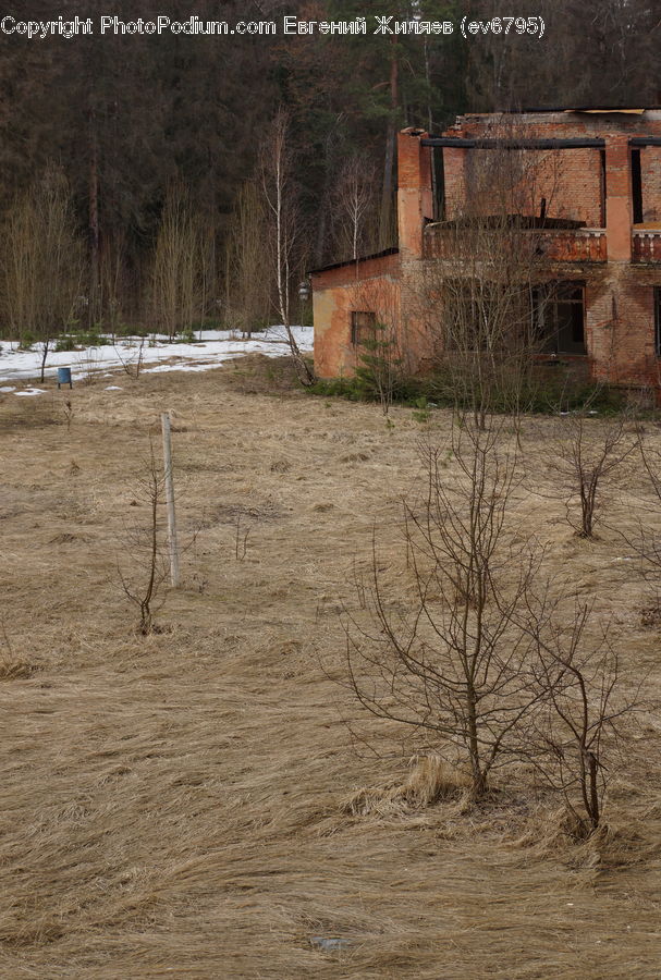 Dirt Road, Gravel, Road, Cabin, Hut, Rural, Shack
