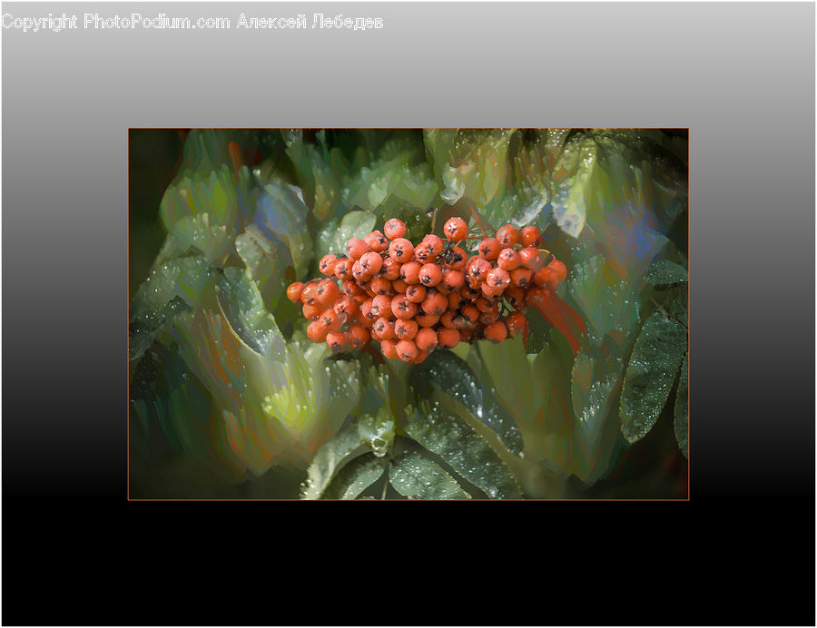 Fruit, Grapes, Floral Design, Plant, Vine, Art, Modern Art