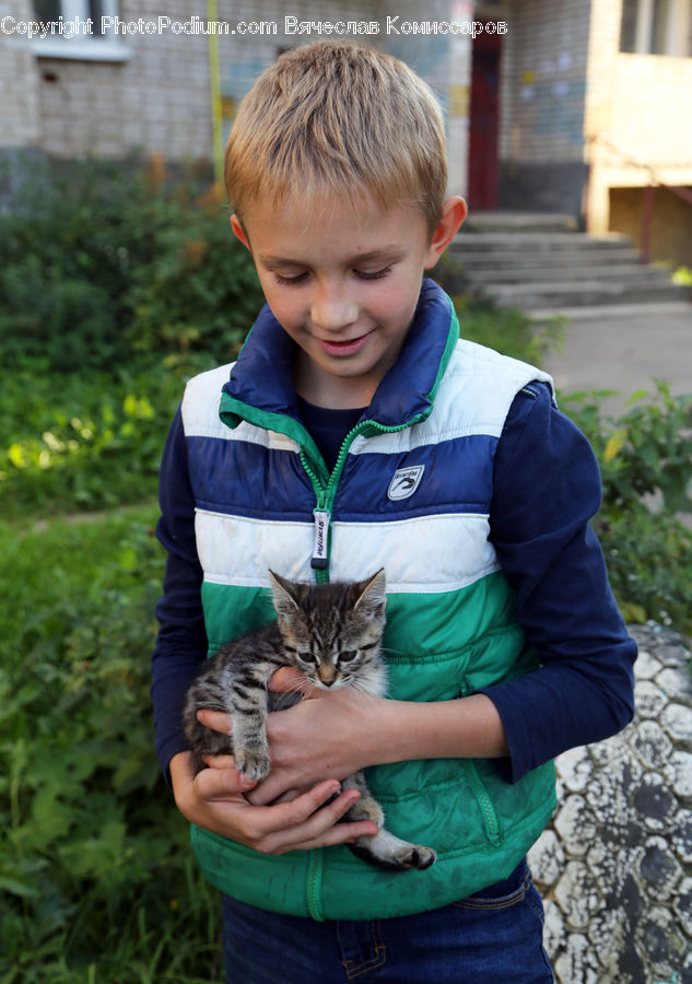 People, Person, Human, Animal, Cat, Mammal, Pet