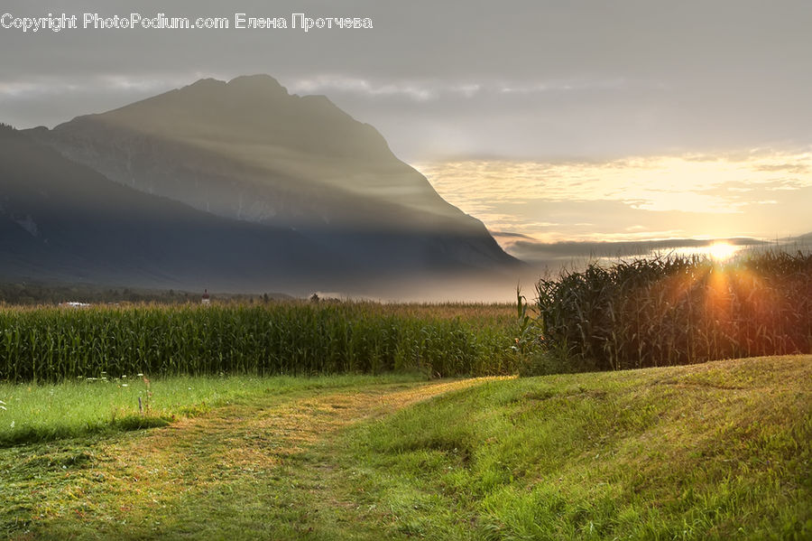 Field, Grass, Grassland, Land, Outdoors, Dawn, Dusk