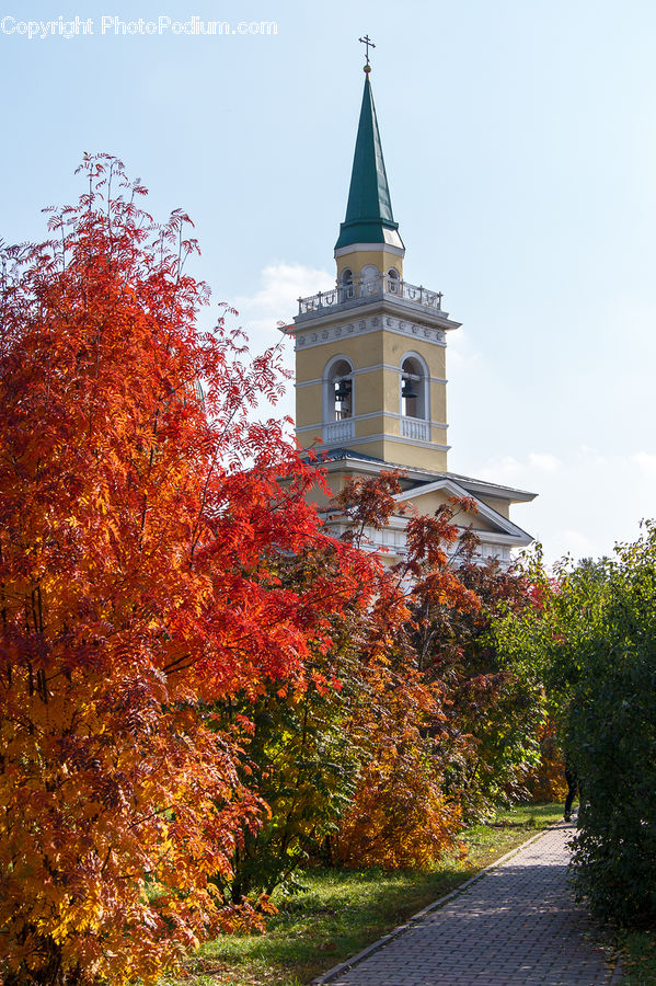 Architecture, Bell Tower, Clock Tower, Tower, Spire, Steeple, Plant