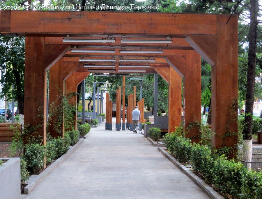 Path, Sidewalk, Walkway, Herbal, Herbs, Plant, Planter