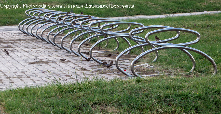 Park Bench, Field, Grass, Grassland, Plant