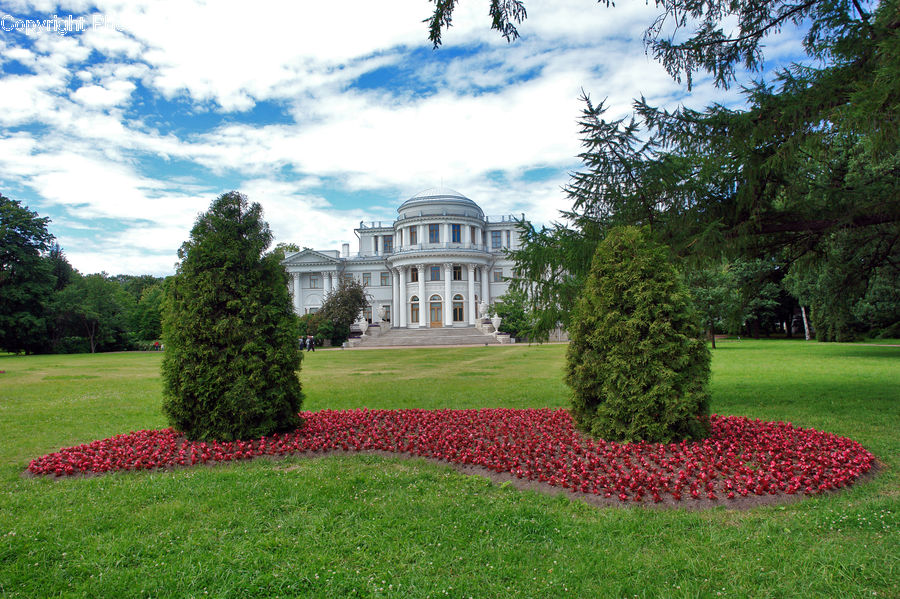 Field, Grass, Lawn, Building, Housing, Villa, Grassland