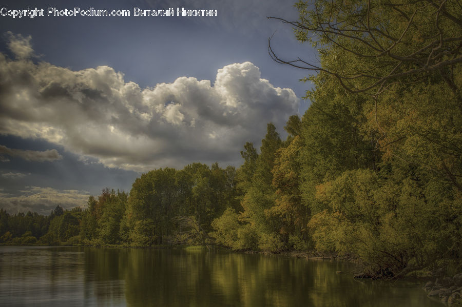 Cloud, Cumulus, Sky, Azure Sky, Outdoors, Landscape, Nature
