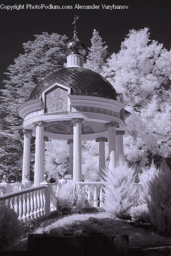Gazebo, Deck, Housing, Porch, Blossom, Flora, Flower